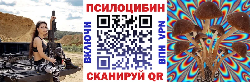 Галлюциногенные грибы Cubensis  где продают   Карабаново 